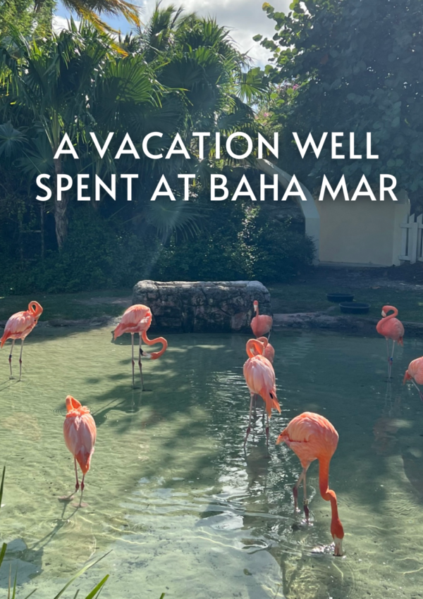 5 Unforgettable Reasons Why You Should Visit Baha Mar