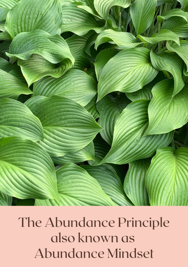 5 Essential Abundance Principles That Will Change Your Life